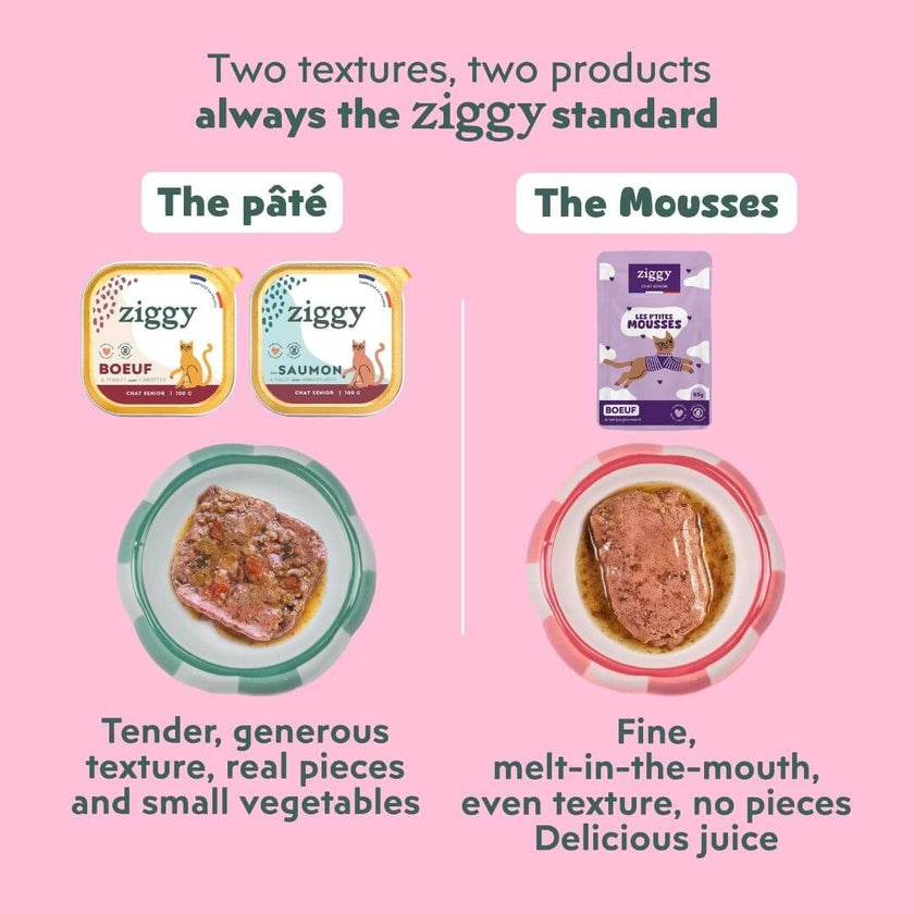 Two Ziggy textures for senior cats: wet food with real pieces and fine, melt-in-the-mouth mousse with gravy