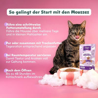Anwendungstipps der Ziggy Mousse für Senior-Katzen mit Rind: Futterumstellung, mit Trockenfutter, 48 Std. haltbar