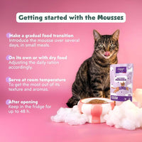 How to serve Ziggy mousse for senior cats with beef: food transition, with dry food, 48 h in the fridge