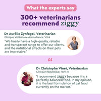 Expert opinions on Ziggy mousses for senior cats: 300+ veterinarians recommend Ziggy