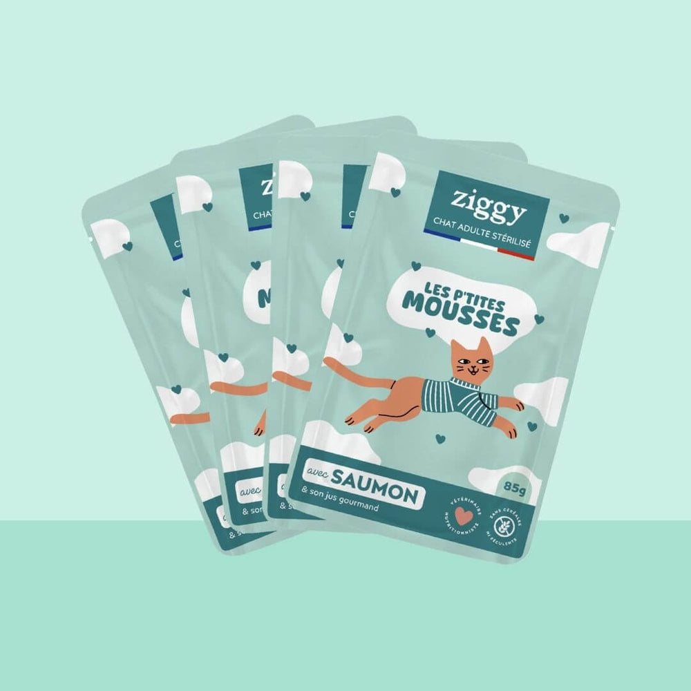 Sachet de mousse Ziggy pour chat stérilisé sans céréales au saumon, 85 g, sur fond turquoise