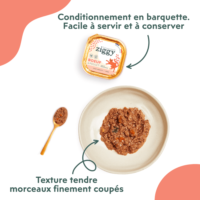 Conditionnement et texture de la pâtée Ziggy pour chat entier au boeuf, saine et sans amidon