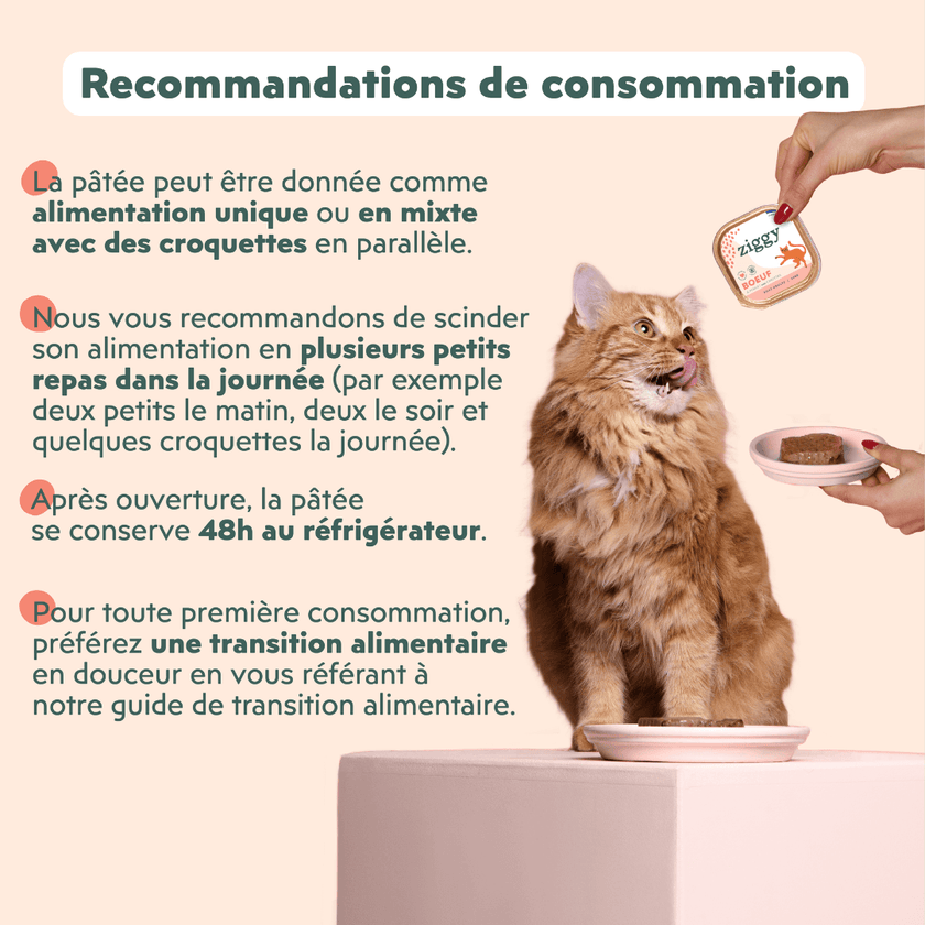 Pâtée Chat Sans Céréales - Boeuf