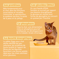 Composition analytique de la pâtée pour chat adulte stérilisé au poulet Ziggy