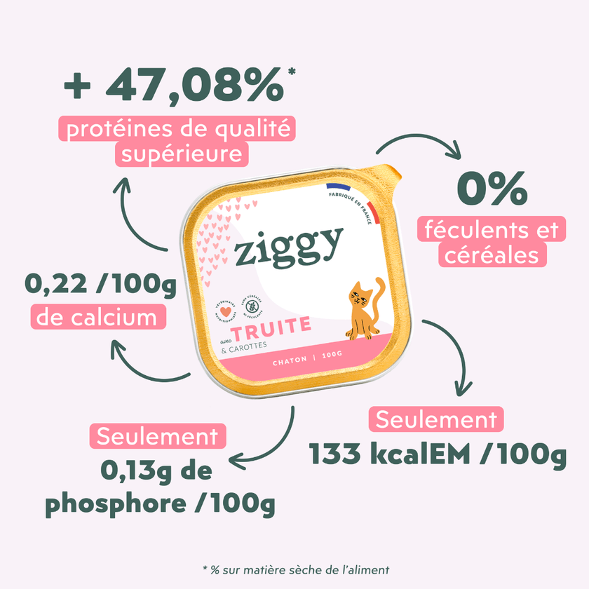 Ingrédients de la pâtée pour chaton Ziggy à la truite, saine et sans amidon