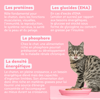 Composition analytique de la pâtée pour chaton Ziggy à la truite, saine et sans amidon