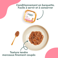 Conditionnement et texture de la pâtée pour chaton Ziggy à la truite, saine et sans amidon