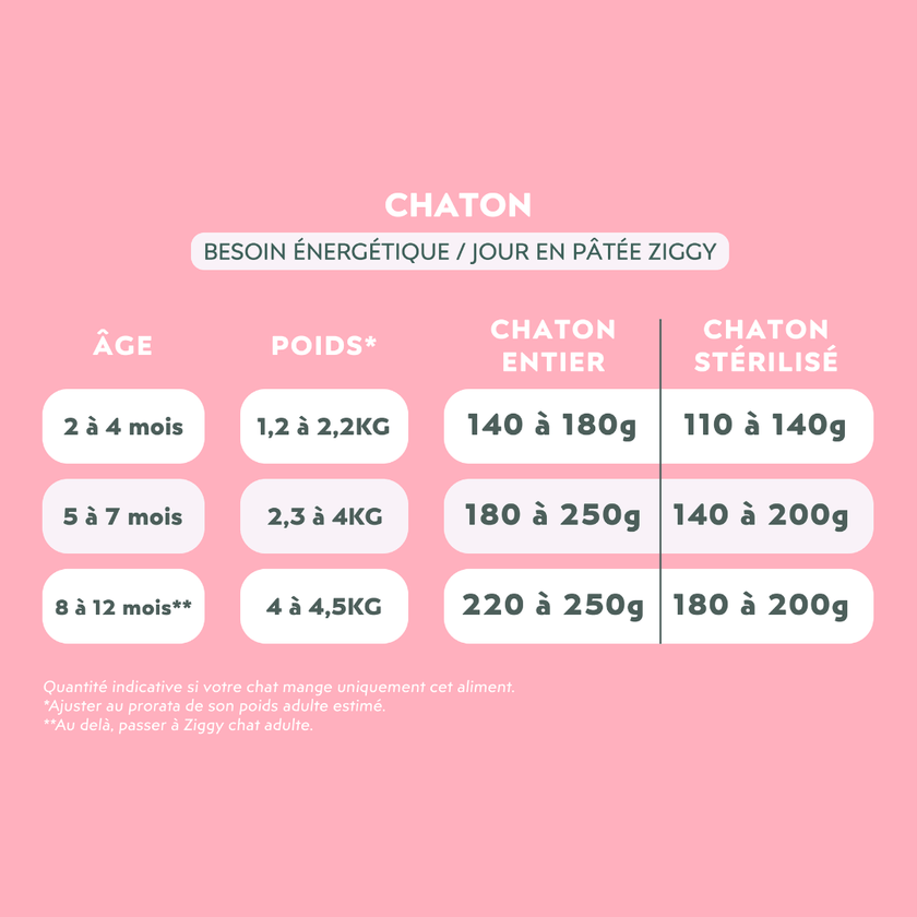 Pâtée Chaton Sans Céréales - Truite