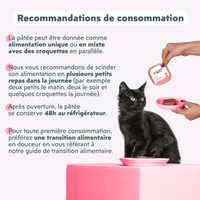 Recommandation de consommation de la pâtée pour chaton Ziggy à la truite, saine et sans amidon