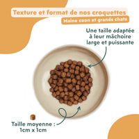 Croquettes Maine Coon Sans Céréales - Poulet