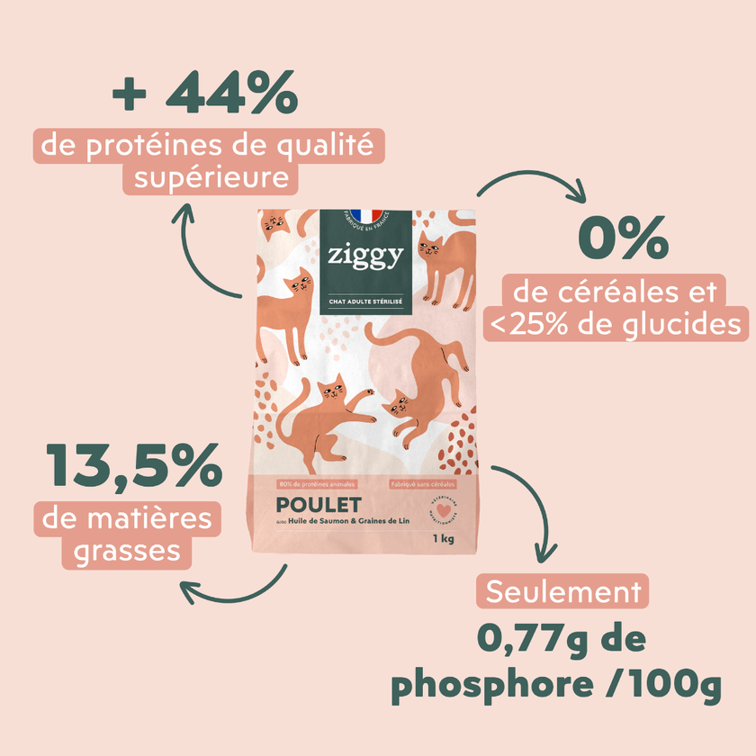 Croquettes Chat Sans Céréales - Poulet