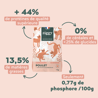 Sac de 1 kg de croquettes pour chat adulte stérilisé au poulet Ziggy avec description de la composition