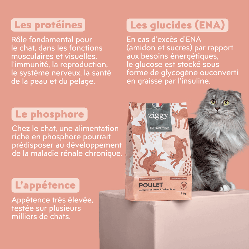 Composition des croquettes pour chat adulte stérilisé Ziggy, saines et françaises