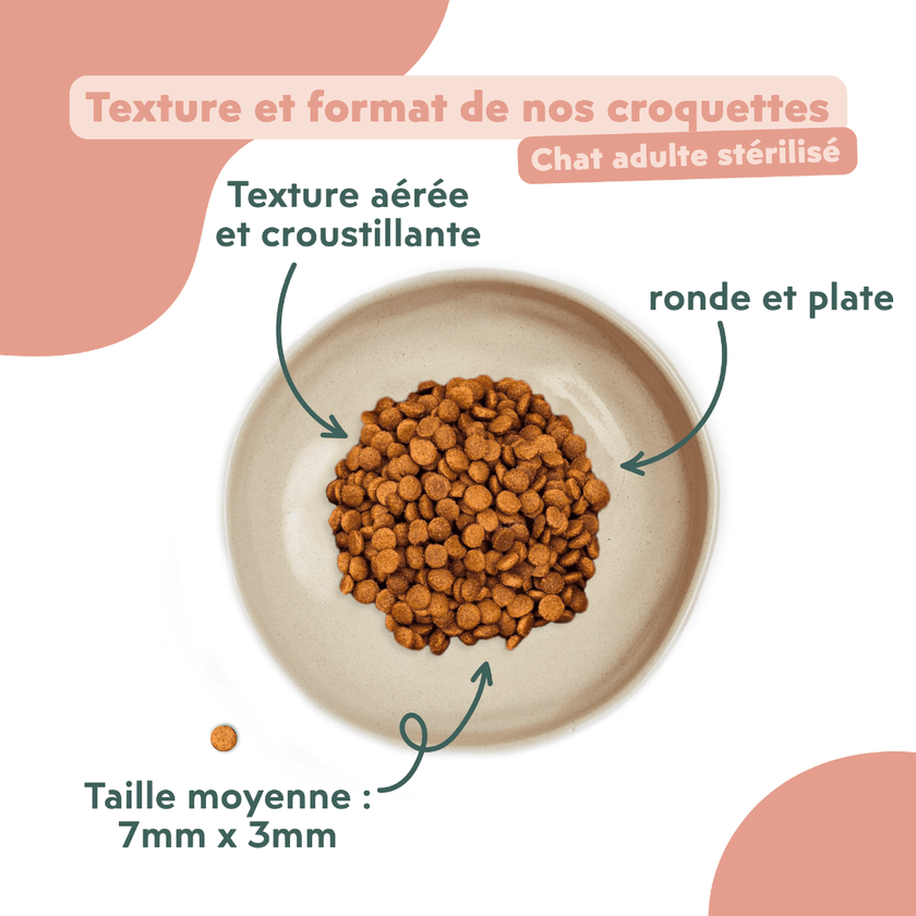 Bol de croquettes pour chat adulte stérilisé au poulet montrant la texture et le format des croquettes Ziggy au poulet