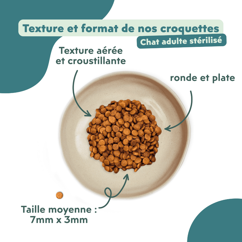 Croquettes Chat Sans Céréales - Saumon