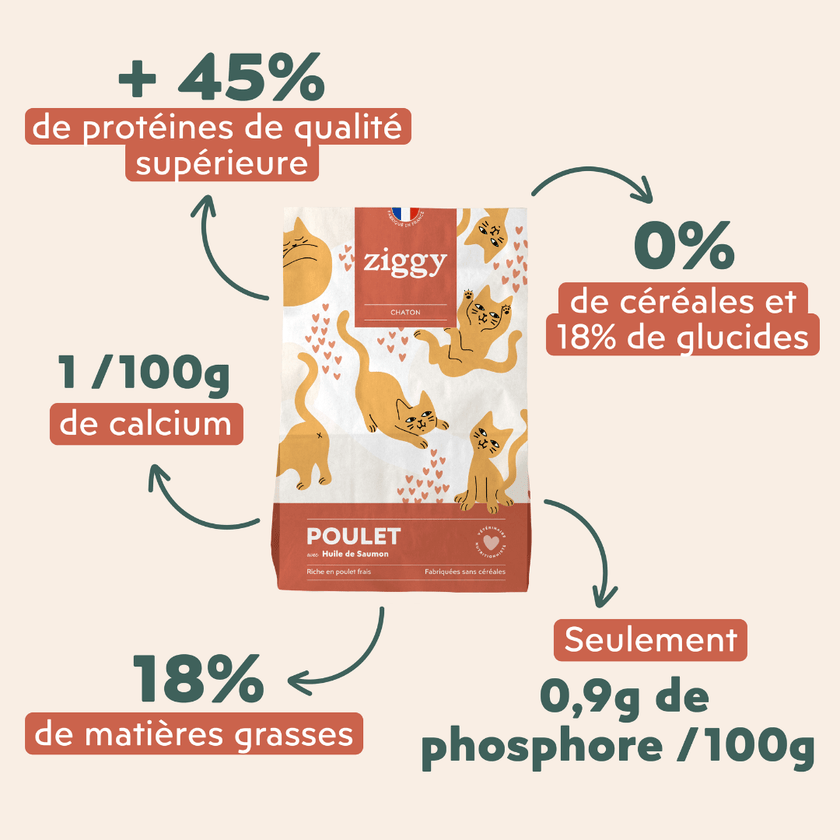 Ingrédients des croquettes Ziggy pour chaton au poulet, saine et sans céréales