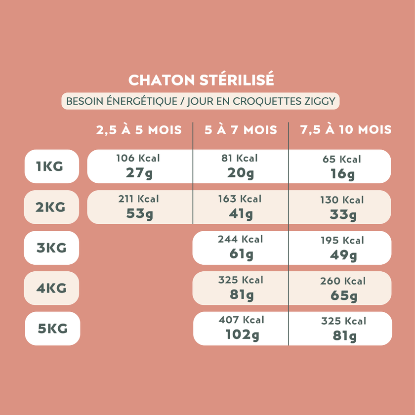 Quantité par jour à donner à son chaton de croquettes Ziggy, saines et sans céréales, en fonction de son besoin énergétique