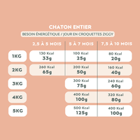 Croquettes Chaton Sans Céréales - Poulet & Huile de Saumon