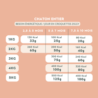 Quantité par jour à donner à son chaton de croquettes Ziggy, saines et sans céréales, en fonction de son besoin énergétique