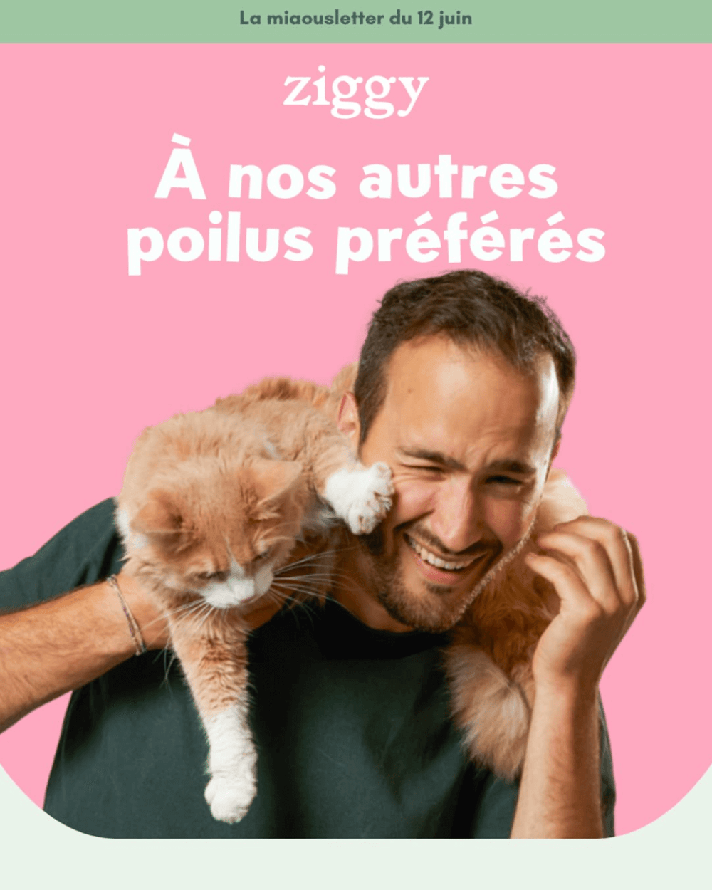Preview de la miaousletter Ziggy du 12 juin 2025