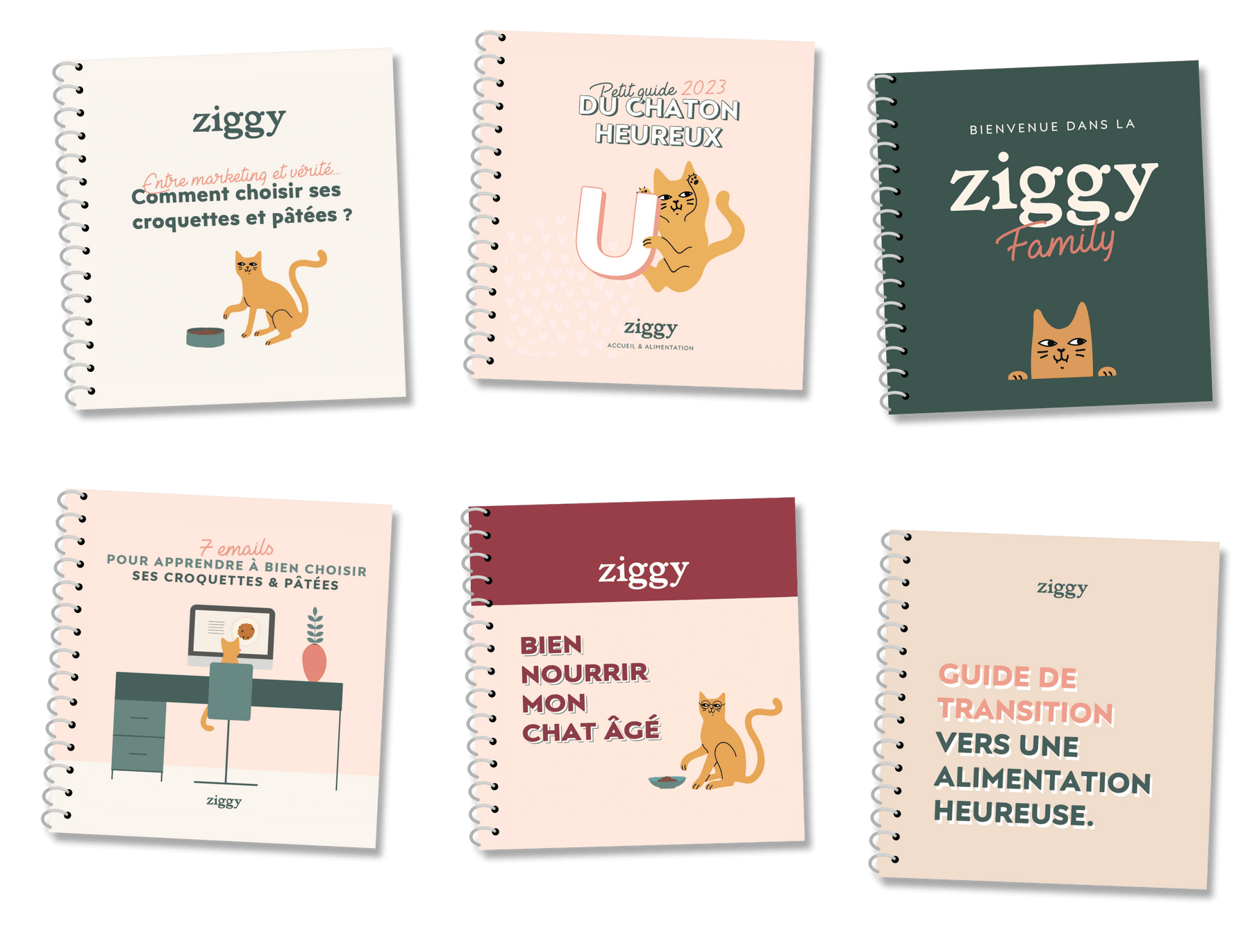 différents guides de nutrition avec conseils sur l'alimentation des chats