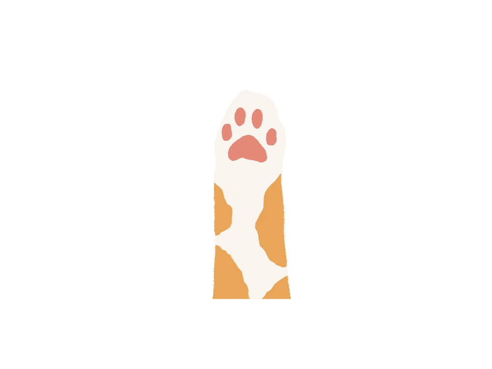 Pictogramme d'une patte de chat roux