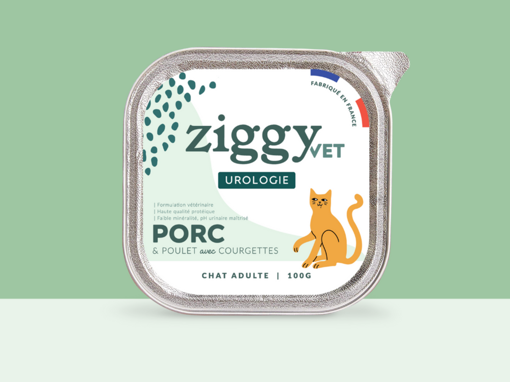 La pâtée Ziggy pour les chats souffrant de troubles urinaires - Mon chat souffre de problèmes urinaires, que faire ?