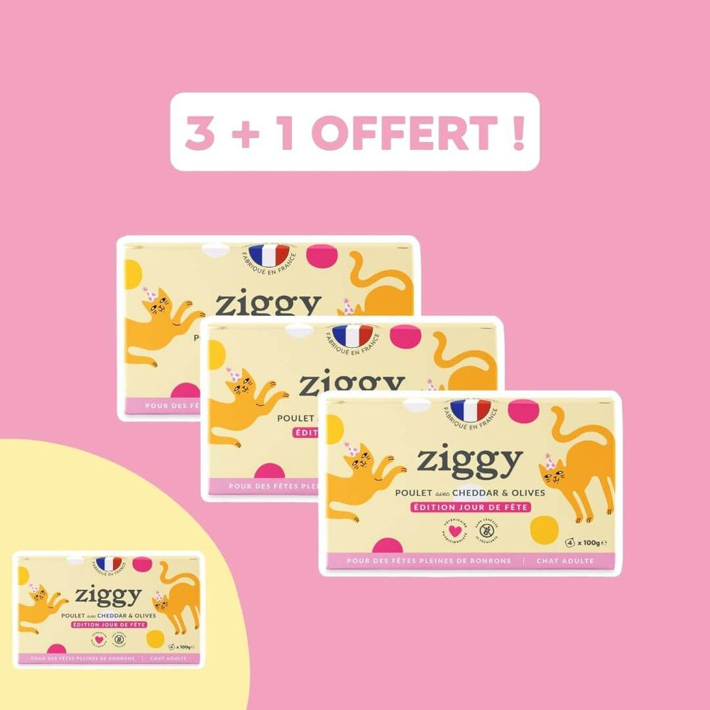 Pâtée Ziggy Jour de Fête au poulet, cheddar et olives - 4x100g édition limitée