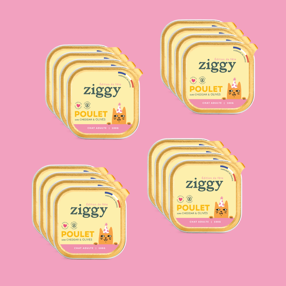 Pâtée Ziggy Jour de Fête au poulet, cheddar et olives - 4x100g édition limitée