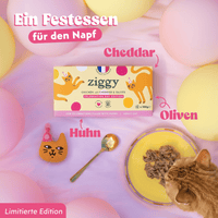 Ziggy Pastete Festtagsedition, getreidefreies Nassfutter für Katzen im Beutel