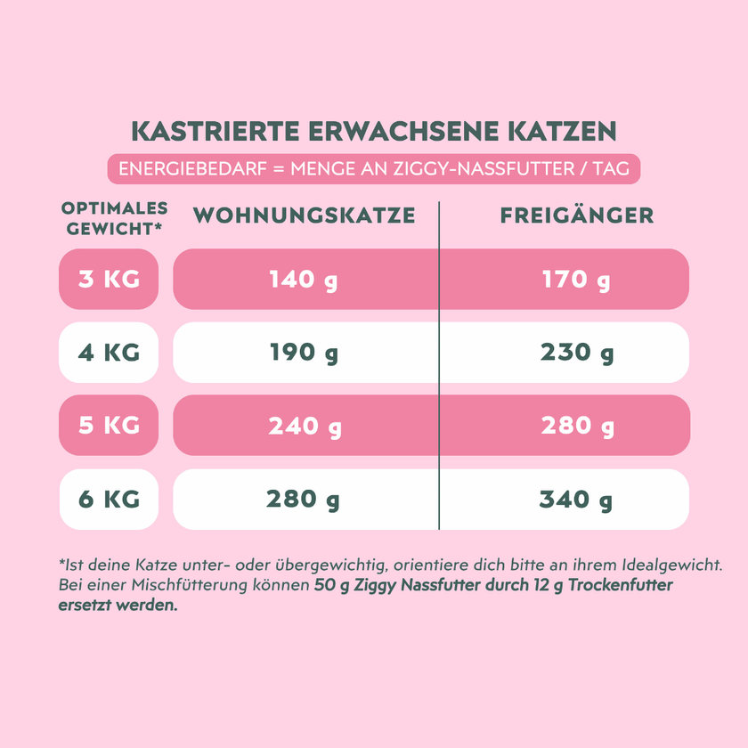 Ziggy Pastete Festtagsedition, Werbebanner für getreidefreies Katzenfutter