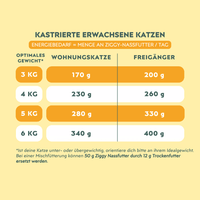 Ziggy Pastete Festtagsedition, Aktionsbanner mit Rabatt für Katzenhalter