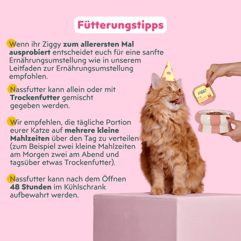 Ziggy Katzenpastete Festtagsedition, Verpackung mit Ziggy Logo