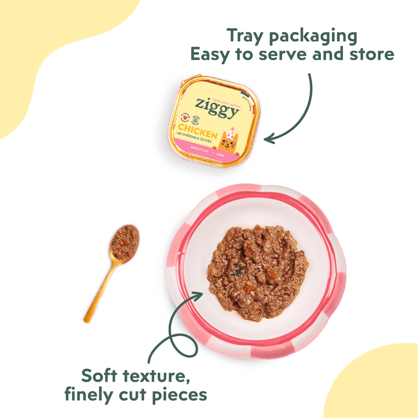 Ziggy Party Edition wet cat food pâté, infographic of nutritional benefits for cats