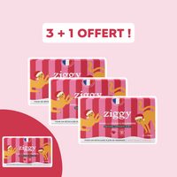 Offre 3 +1 Pâtées pour chat de Noël Ziggy à la dinde courge et cranberries
