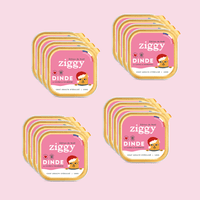 Offre 3 +1 Pâtées pour chat de Noël Ziggy à la dinde courge et cranberries