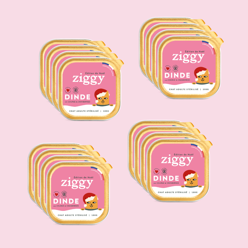 Offre 3 +1 Pâtées pour chat de Noël Ziggy à la dinde courge et cranberries