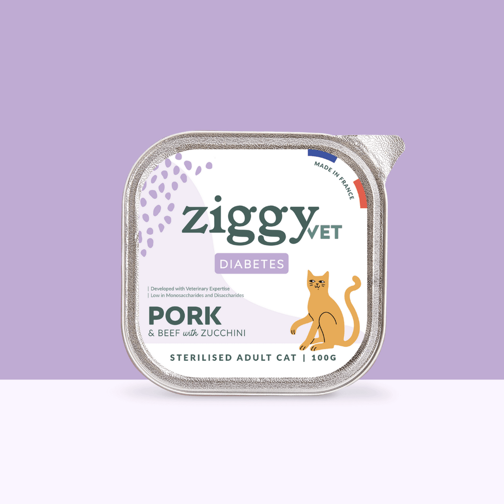 Barquette de 100g de pâtées Ziggy pour chat adulte souffrant de diabète, saines et sans céréales