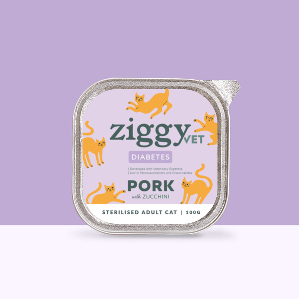 Barquette de 100g de pâtées Ziggy pour chat adulte souffrant de diabète, saines et sans céréales
