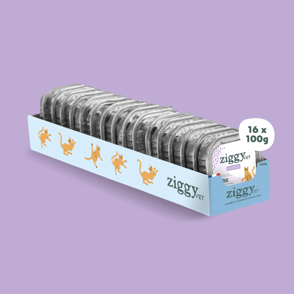 Barquette de 100g de pâtées Ziggy pour chat adulte souffrant de diabète, saines et sans céréales
