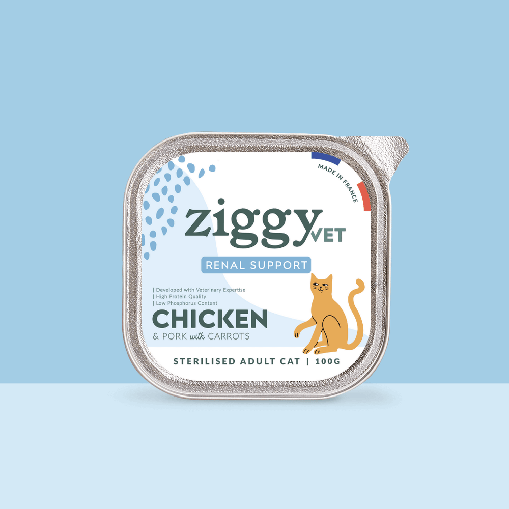 Barquette de 100g de pâtée Ziggy Vétérinaire pour chat adulte IRC insuffisance rénale chronique