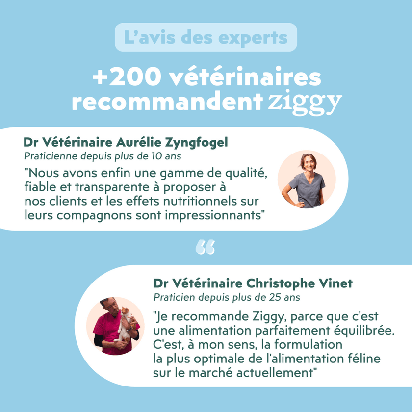 Avis vétérinaire de la pâtée Ziggy Vet pour chat souffrant d'insuffisance rénale chronique (IRC), saine et sans amidon
