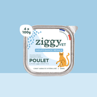 Barquette de 100g de pâtée Ziggy Vétérinaire pour chat adulte IRC insuffisance rénale chronique
