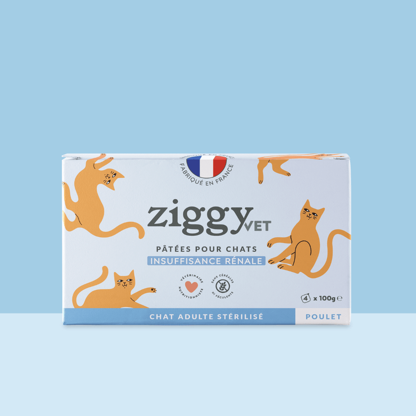 lot de 4 pâtées de 100g Ziggy Vet pour chat adulte souffrant d'IRC (insuffisance rénale chronique)