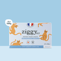 Lot de 4 pâtées de 100g Ziggy pour chat adulte souffrant d'insuffisance rénale chronique (IRC), saines et sans céréales