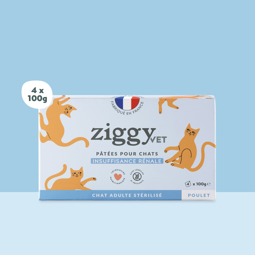 Lot de 4 pâtées de 100g Ziggy pour chat adulte souffrant d'insuffisance rénale chronique (IRC), saines et sans céréales