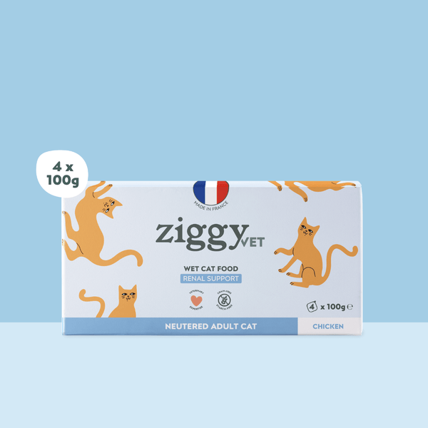 Barquette de 100g de pâtée Ziggy Vétérinaire pour chat adulte IRC insuffisance rénale chronique