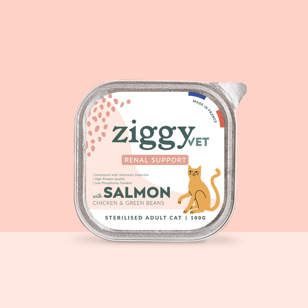 Barquette de pâtée pour chat en insuffisance rénale Chronique (IRC) au saumon de la marque Ziggy