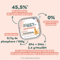 Composition analytique de la pâtée pour chat en insuffisance rénale Chronique (IRC) au saumon Ziggy