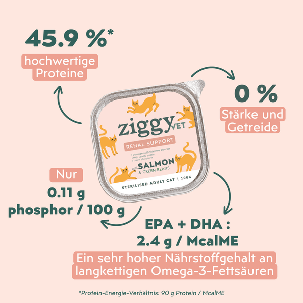 Composition analytique de la pâtée pour chat en insuffisance rénale Chronique (IRC) au saumon Ziggy